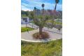 Försäljning - Lägenhet - Orihuela Costa - Costa Blanca