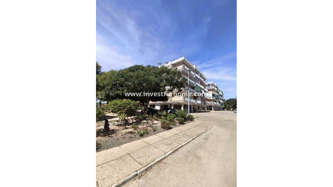Försäljning - Lägenhet - Orihuela Costa - Costa Blanca