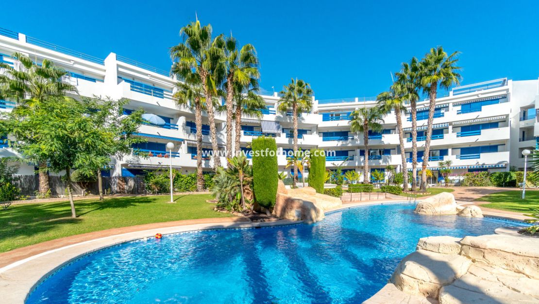 Försäljning - Lägenhet - Orihuela Costa - La Calma
