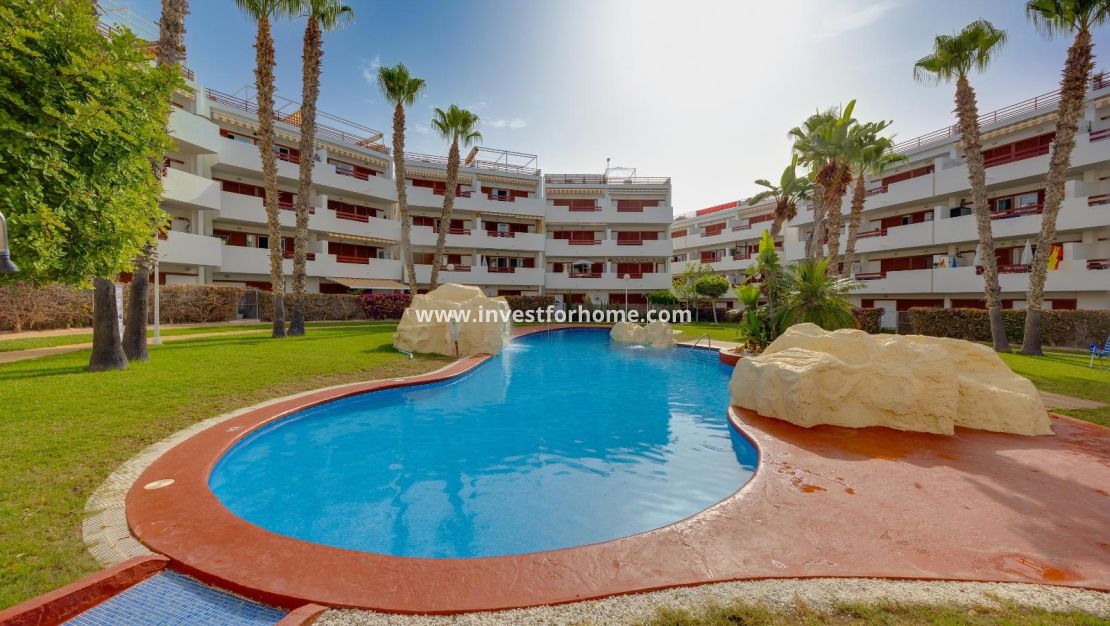 Försäljning - Lägenhet - Orihuela Costa - Playa Flamenca