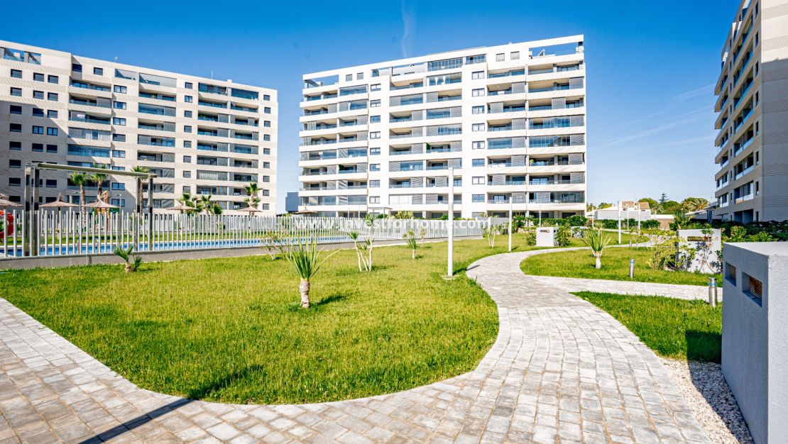 Försäljning - Lägenhet - Orihuela Costa - Punta Prima
