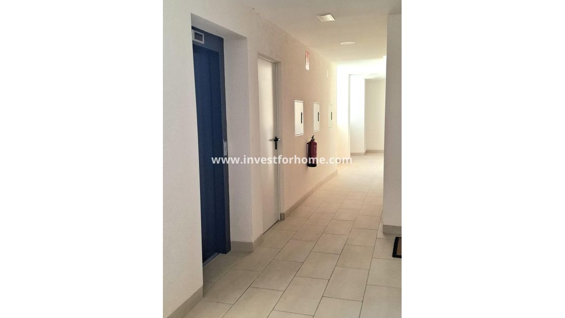 Försäljning - Lägenhet - Orihuela Costa - Villamartín