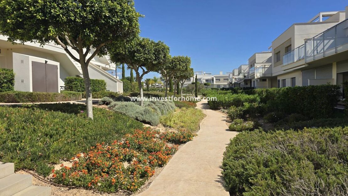 Försäljning - Lägenhet - Orihuela Costa - Vistabella Golf Entre Naranjos