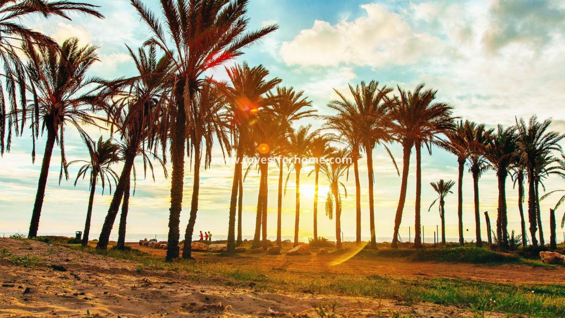 Försäljning - Lägenhet - Orihuela Costa