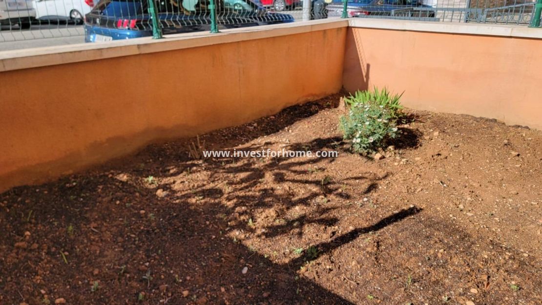 Försäljning - Lägenhet - Torrevieja - aguas nuevas