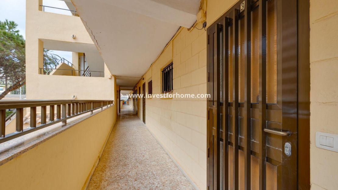 Försäljning - Lägenhet - Torrevieja - Cabo Cervera