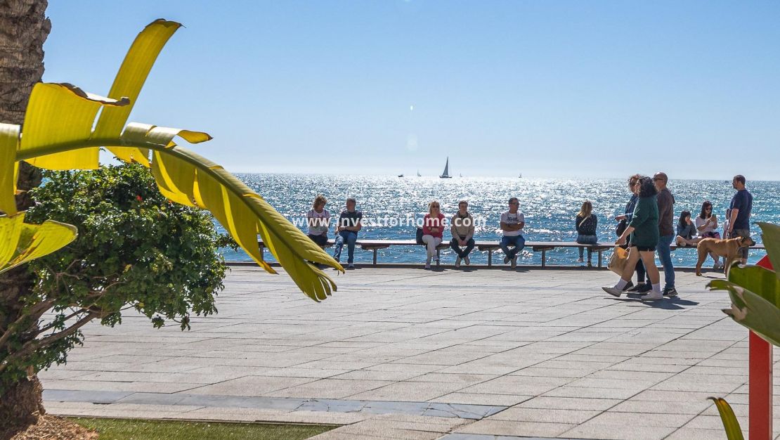 Försäljning - Lägenhet - Torrevieja - Centro