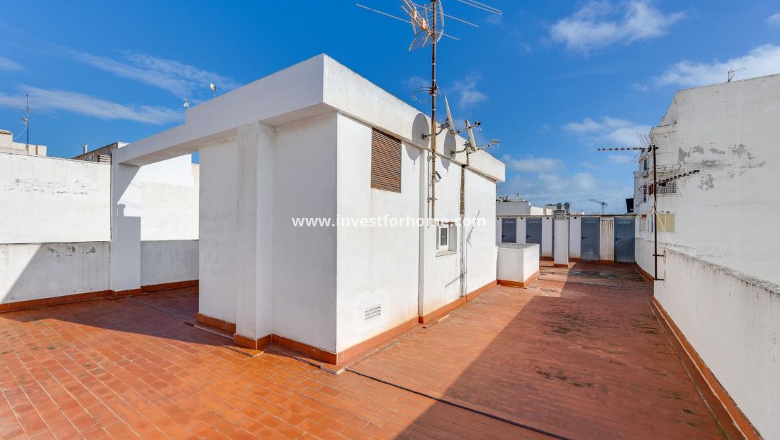 Försäljning - Lägenhet - Torrevieja - Centro