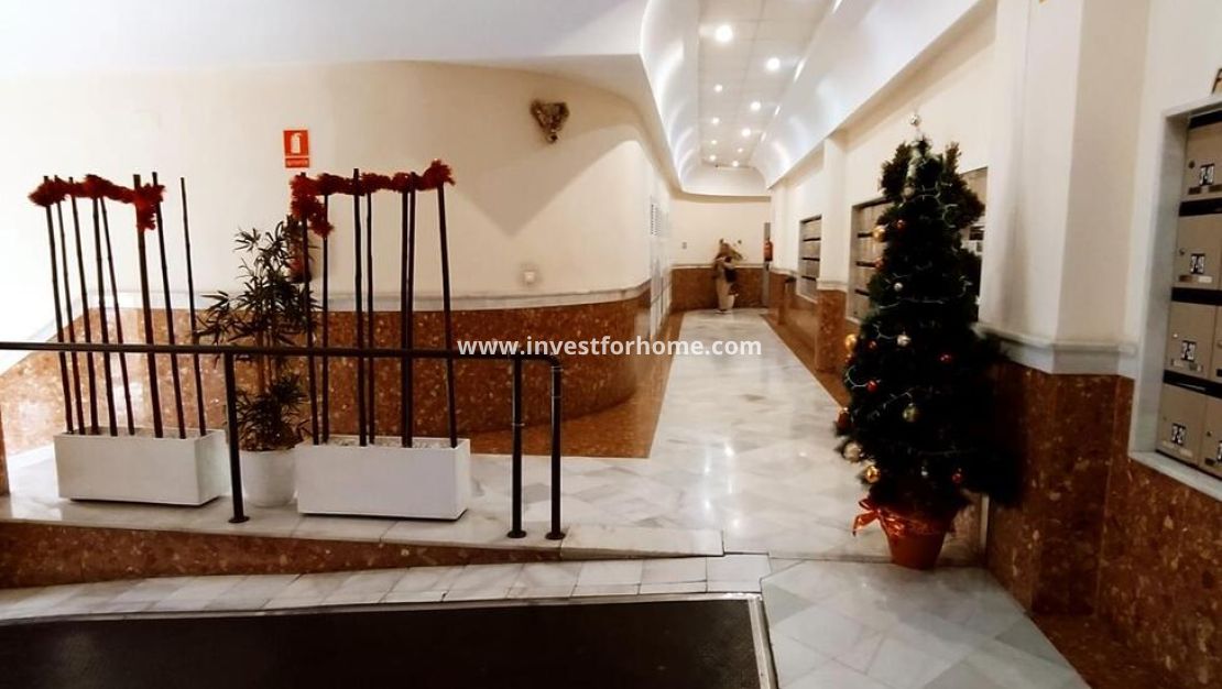 Försäljning - Lägenhet - Torrevieja - Centro