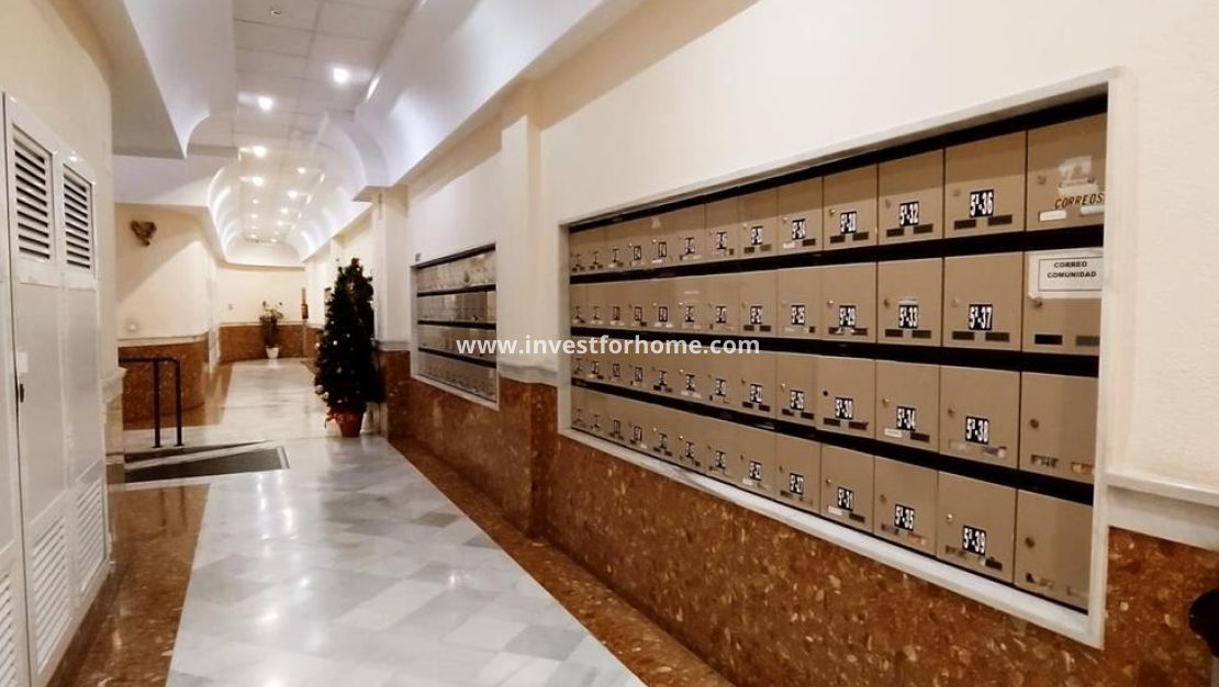 Försäljning - Lägenhet - Torrevieja - Centro