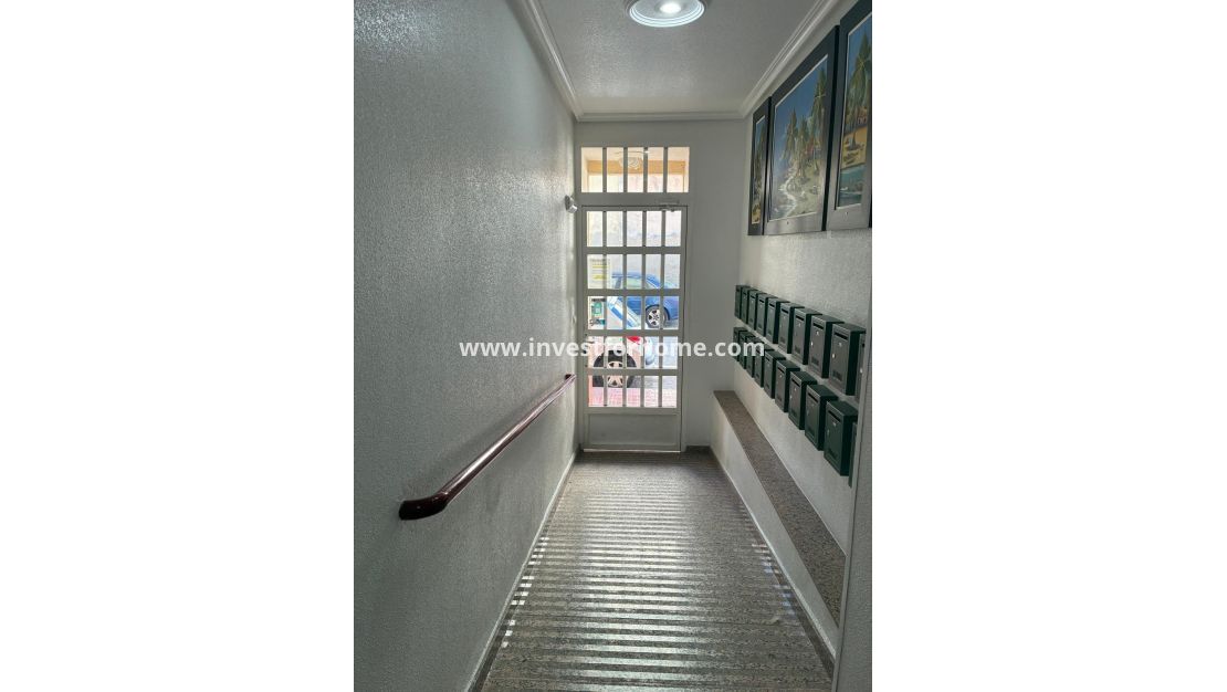 Försäljning - Lägenhet - Torrevieja - Centro