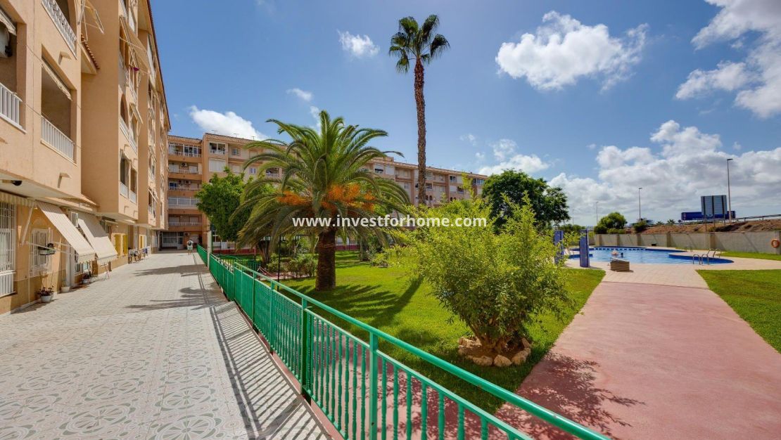 Försäljning - Lägenhet - Torrevieja - Centro