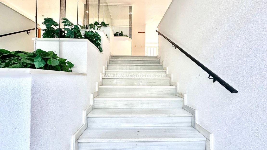 Försäljning - Lägenhet - Torrevieja - Centro