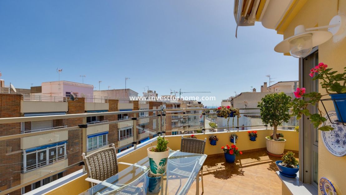 Försäljning - Lägenhet - Torrevieja - Centro