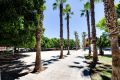 Försäljning - Lägenhet - Torrevieja - Centro