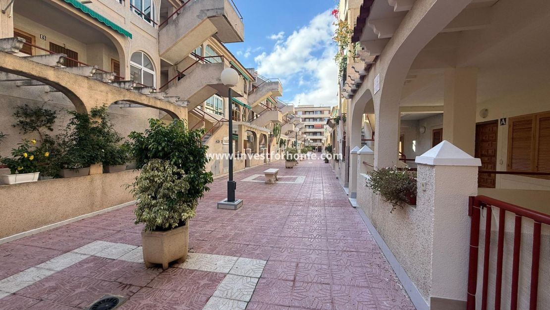 Försäljning - Lägenhet - Torrevieja - Centro