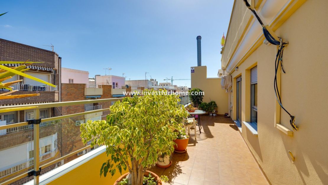 Försäljning - Lägenhet - Torrevieja - Centro