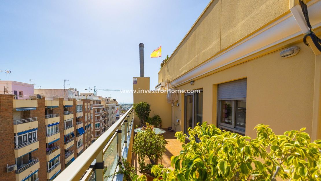 Försäljning - Lägenhet - Torrevieja - Centro