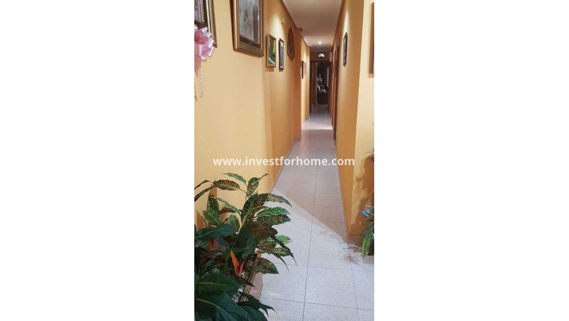 Försäljning - Lägenhet - Torrevieja - Costa Blanca