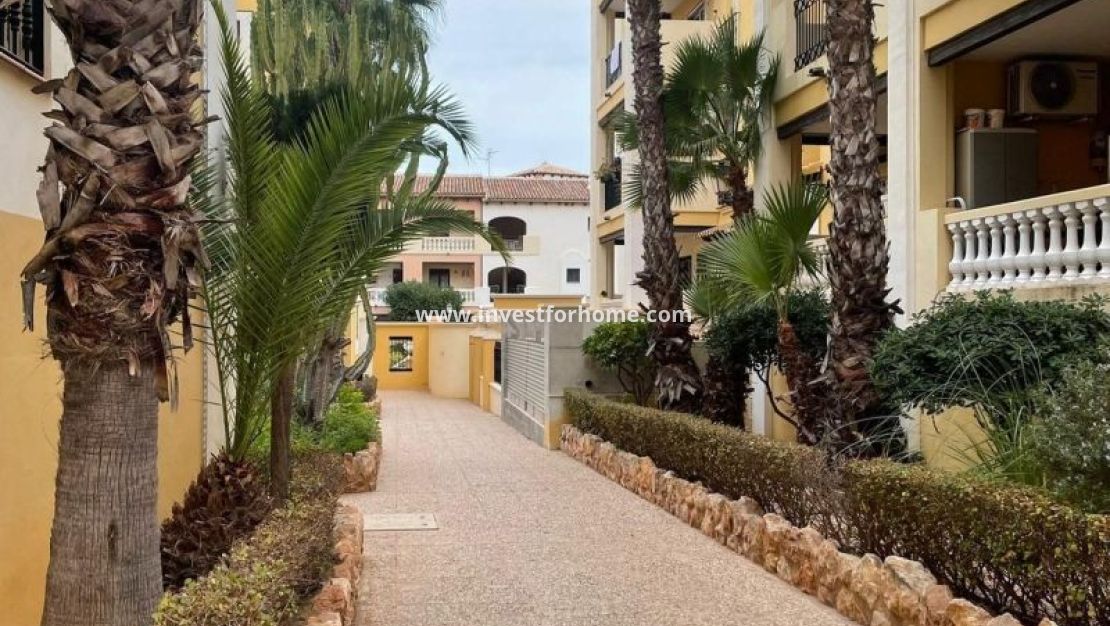 Försäljning - Lägenhet - Torrevieja - Costa Blanca