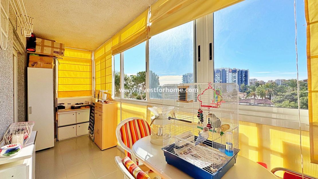 Försäljning - Lägenhet - Torrevieja - Costa Blanca