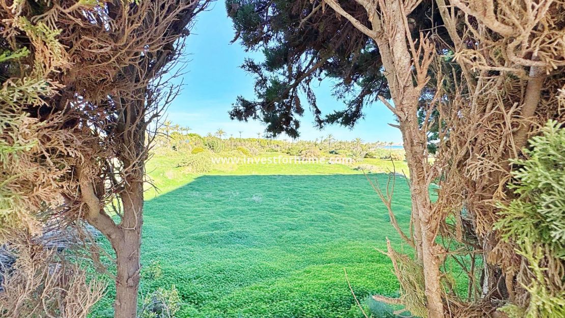 Försäljning - Lägenhet - Torrevieja - Costa Blanca