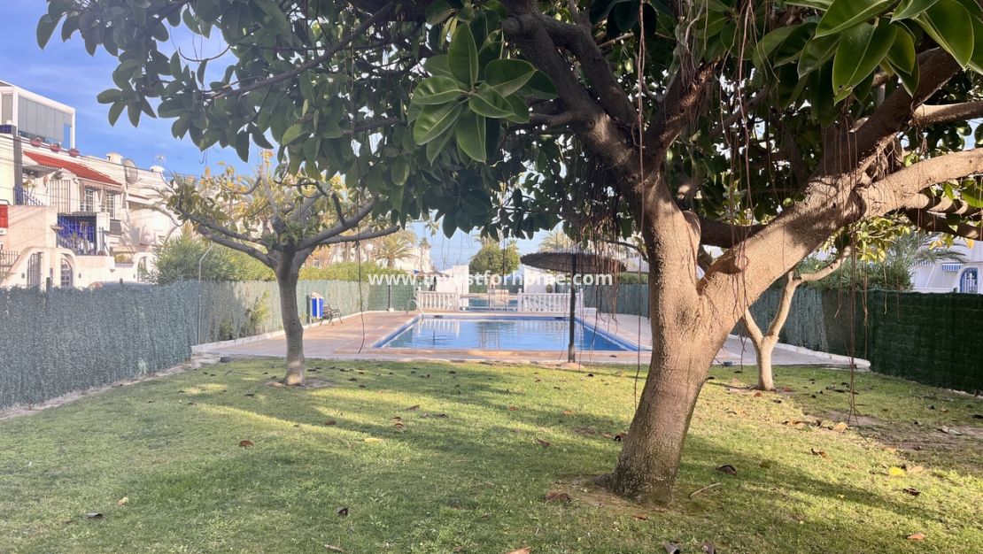 Försäljning - Lägenhet - Torrevieja - Costa Blanca