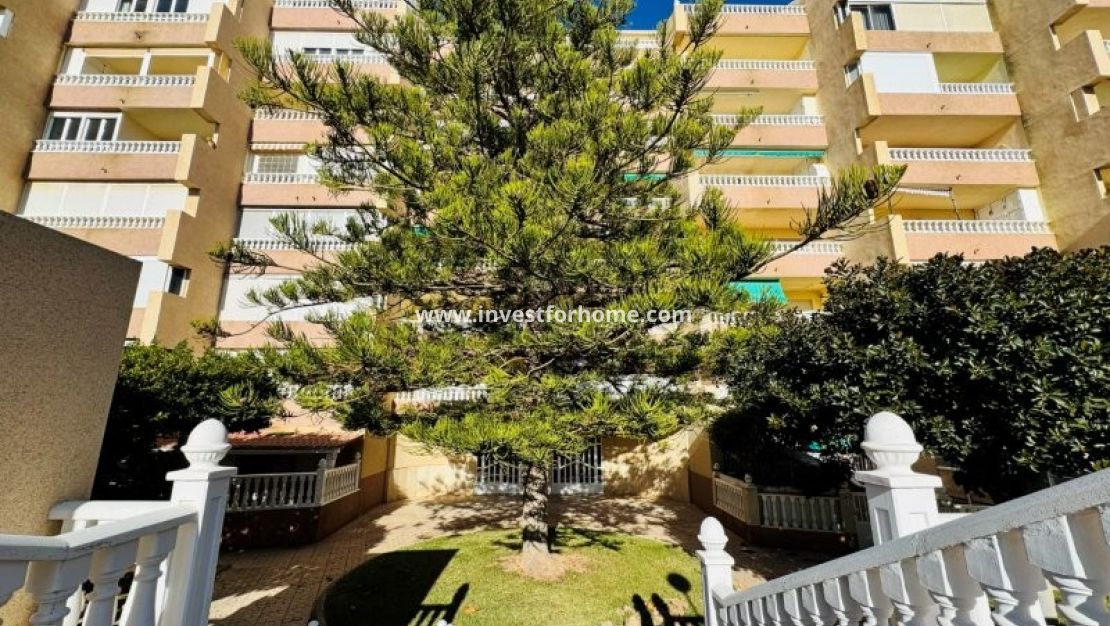 Försäljning - Lägenhet - Torrevieja - Costa Blanca