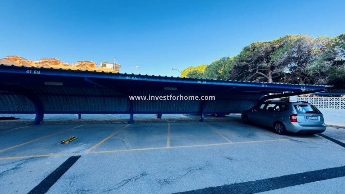 Försäljning - Lägenhet - Torrevieja - Costa Blanca