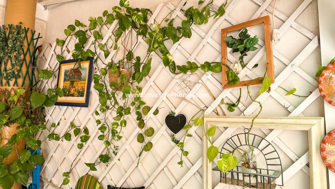 Försäljning - Lägenhet - Torrevieja - Costa Blanca