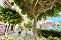 Försäljning - Lägenhet - Torrevieja - Costa Blanca