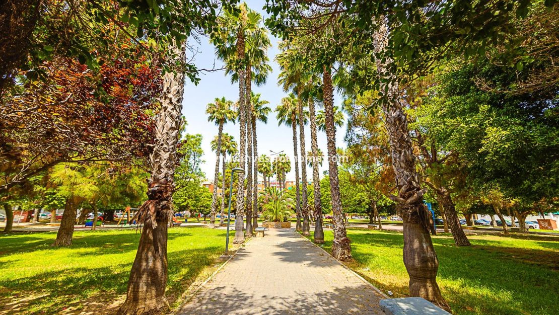 Försäljning - Lägenhet - Torrevieja - El Acequión - Los Náufragos