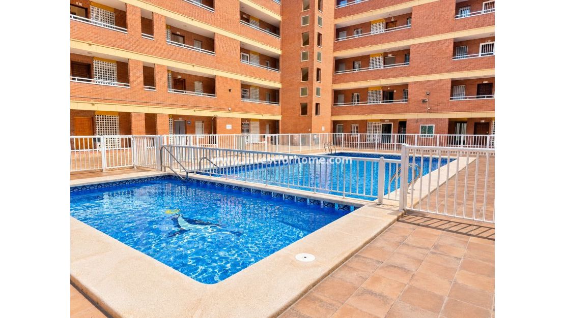 Försäljning - Lägenhet - Torrevieja - El Acequión - Los Náufragos