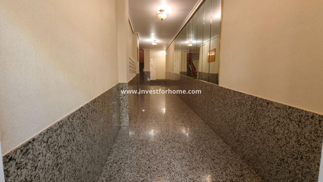 Försäljning - Lägenhet - Torrevieja - Estacion De Autobuses