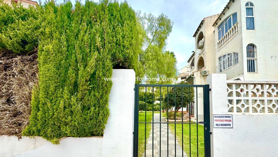 Försäljning - Lägenhet - Torrevieja - Estacion De Autobuses