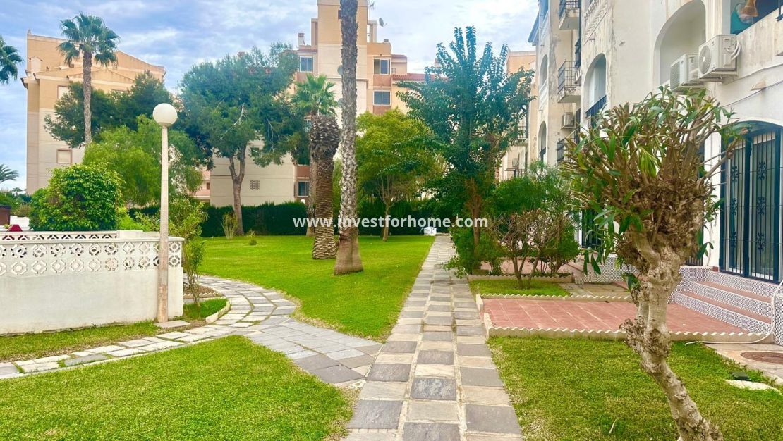 Försäljning - Lägenhet - Torrevieja - Estacion De Autobuses