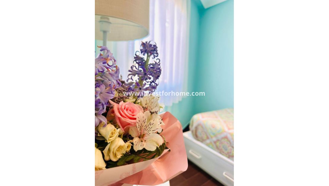 Försäljning - Lägenhet - Torrevieja - Estacion De Autobuses