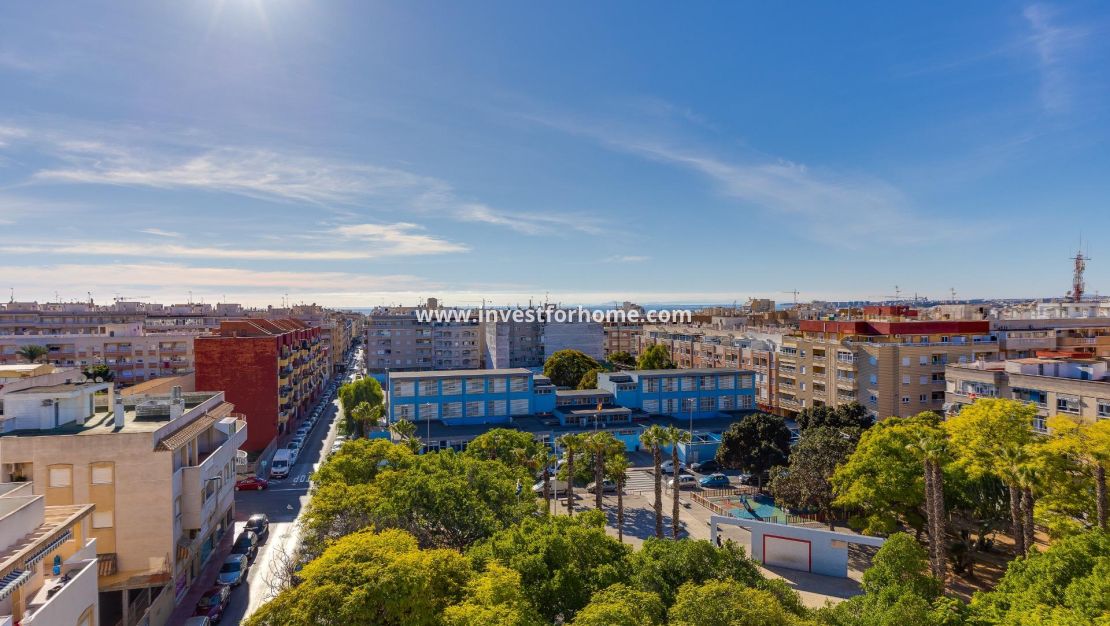 Försäljning - Lägenhet - Torrevieja - Estacion De Autobuses