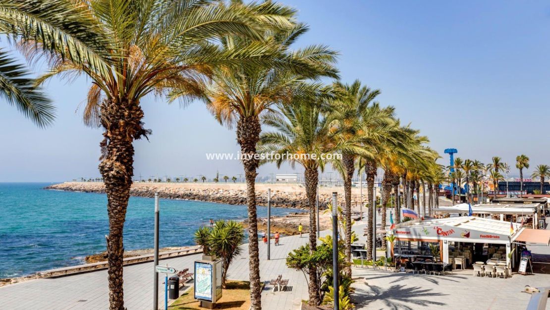 Försäljning - Lägenhet - Torrevieja - Estacion De Autobuses