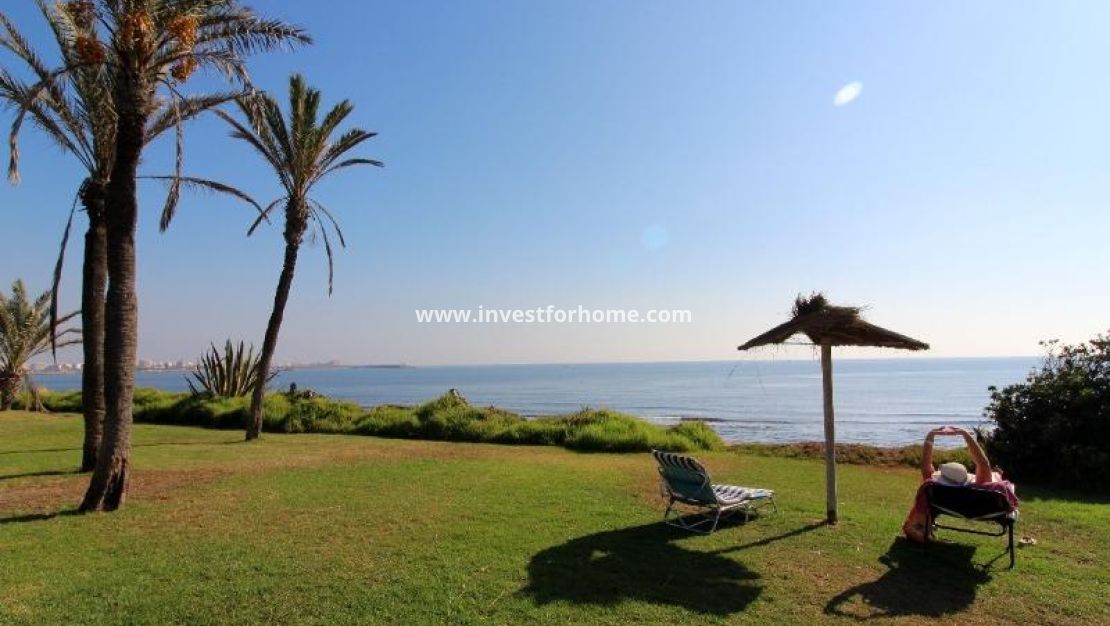 Försäljning - Lägenhet - Torrevieja - La Veleta