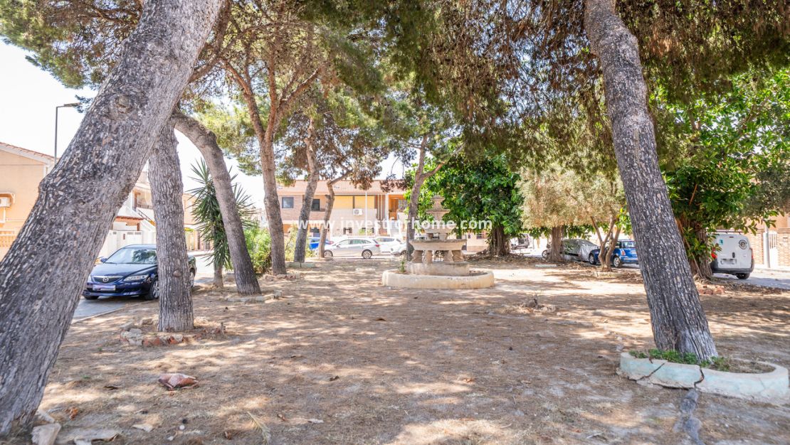 Försäljning - Lägenhet - Torrevieja - La Veleta