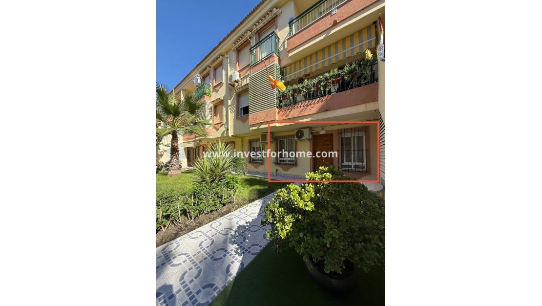 Försäljning - Lägenhet - Torrevieja - La veleta