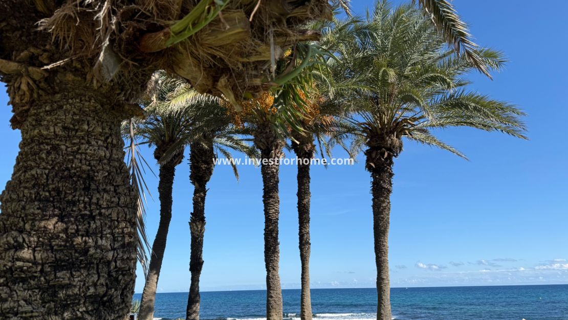 Försäljning - Lägenhet - Torrevieja - La veleta