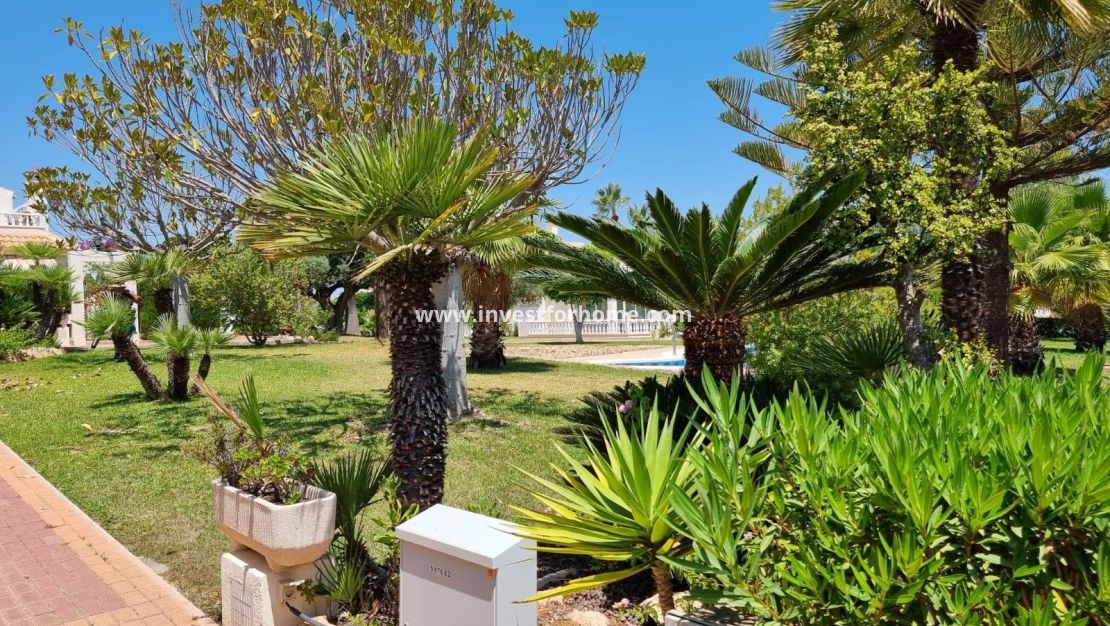 Försäljning - Lägenhet - Torrevieja - Los Balcones - Los Altos Del Edén