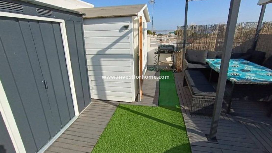 Försäljning - Lägenhet - Torrevieja - Los Balcones