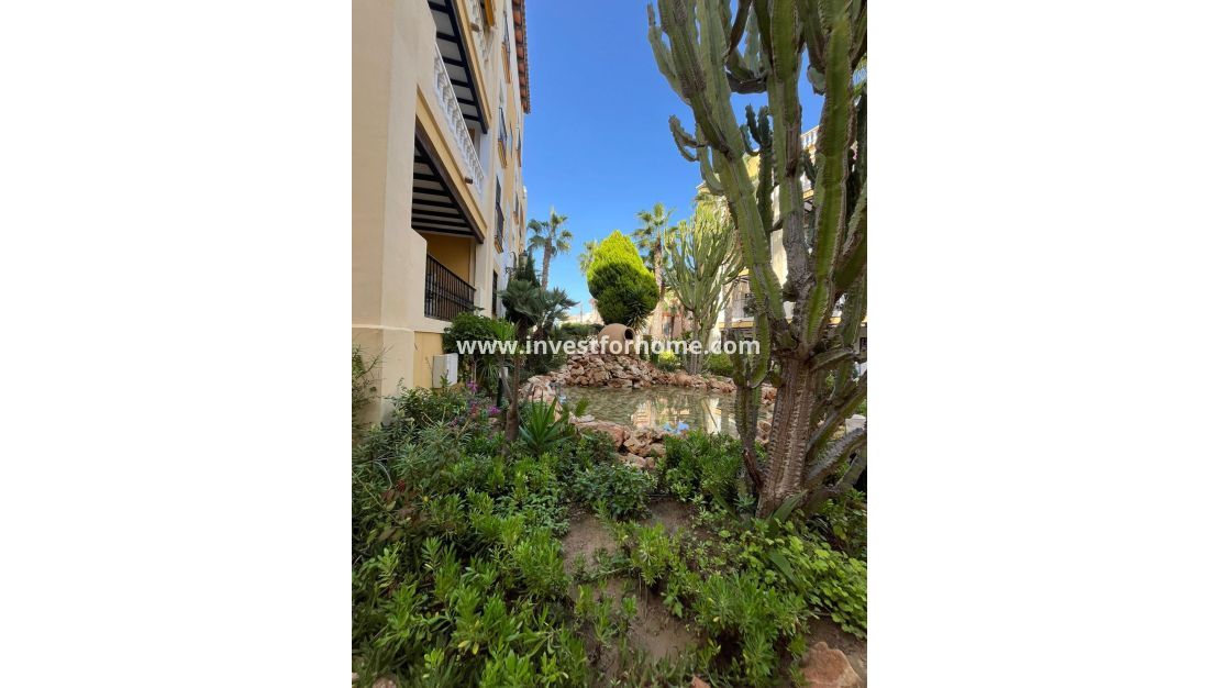 Försäljning - Lägenhet - Torrevieja - Nueva Torrevieja - Aguas Nuevas