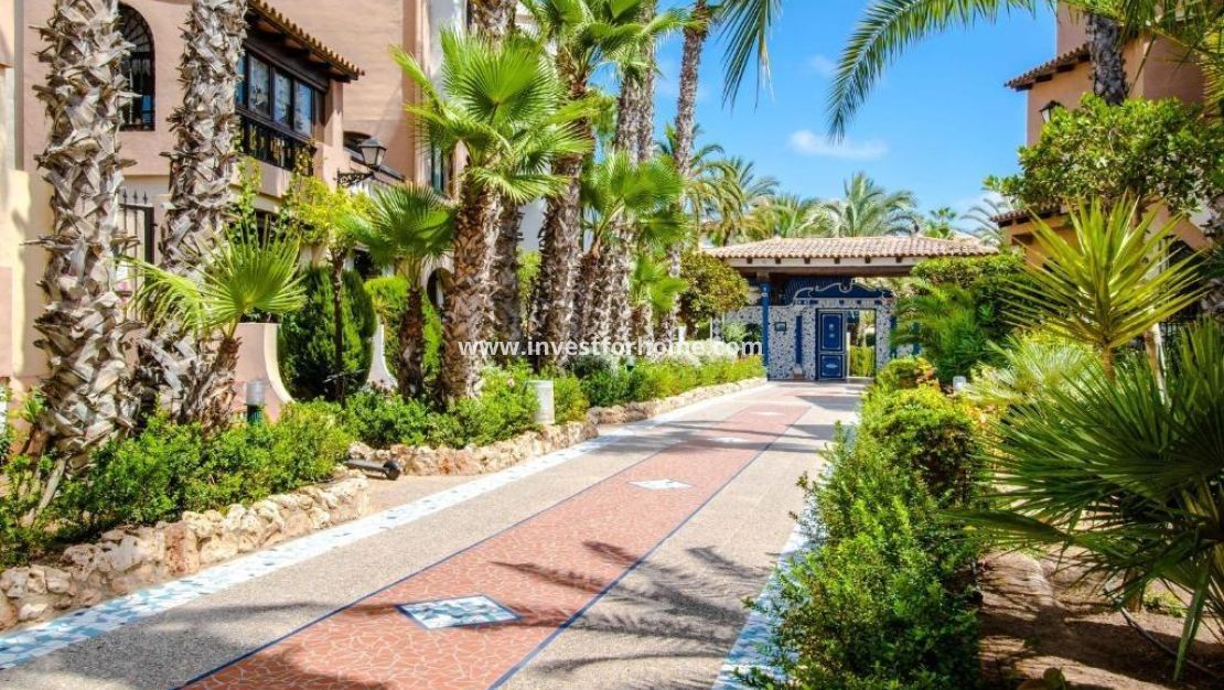 Försäljning - Lägenhet - Torrevieja - Nueva Torrevieja - Aguas Nuevas