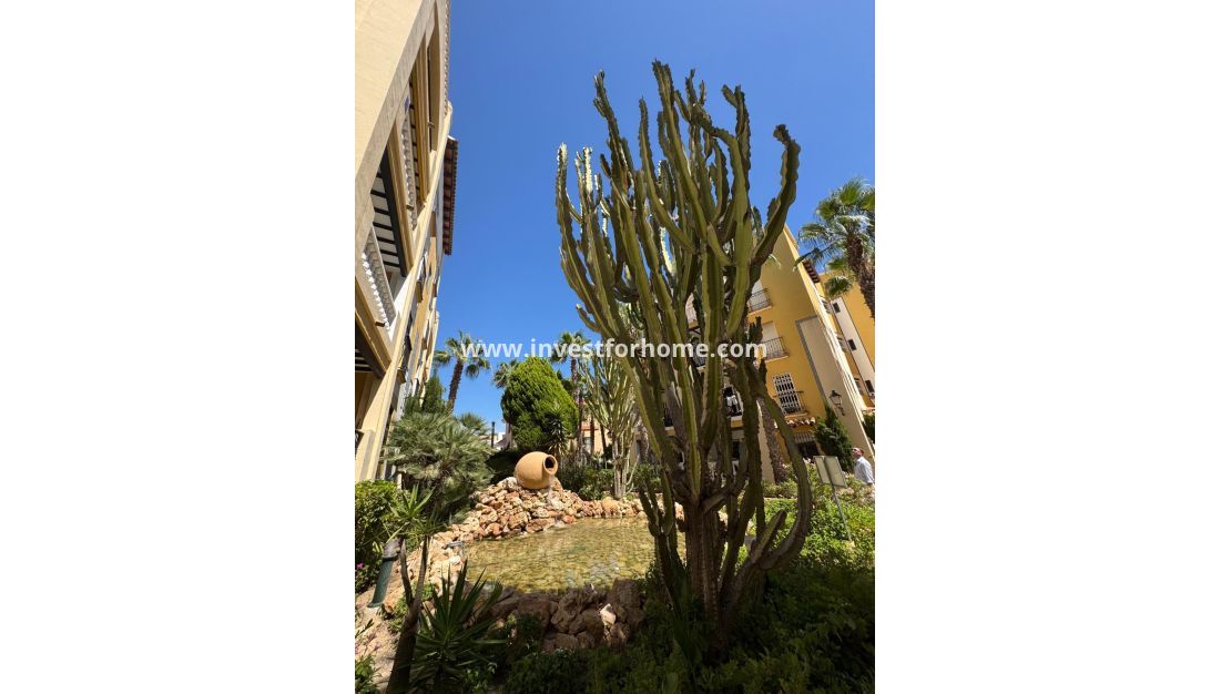 Försäljning - Lägenhet - Torrevieja - Nueva Torrevieja - Aguas Nuevas