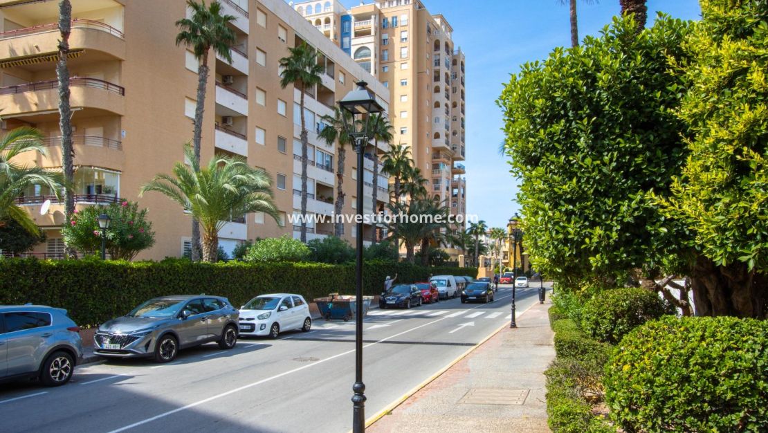Försäljning - Lägenhet - Torrevieja - Nueva Torrevieja - Aguas Nuevas