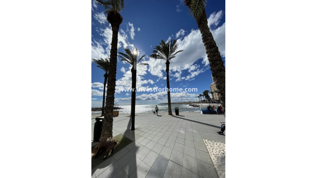 Försäljning - Lägenhet - Torrevieja - Playa de cura